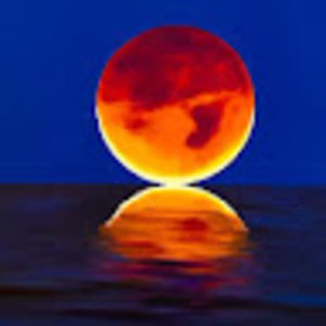 Meet your Posher, Fayza